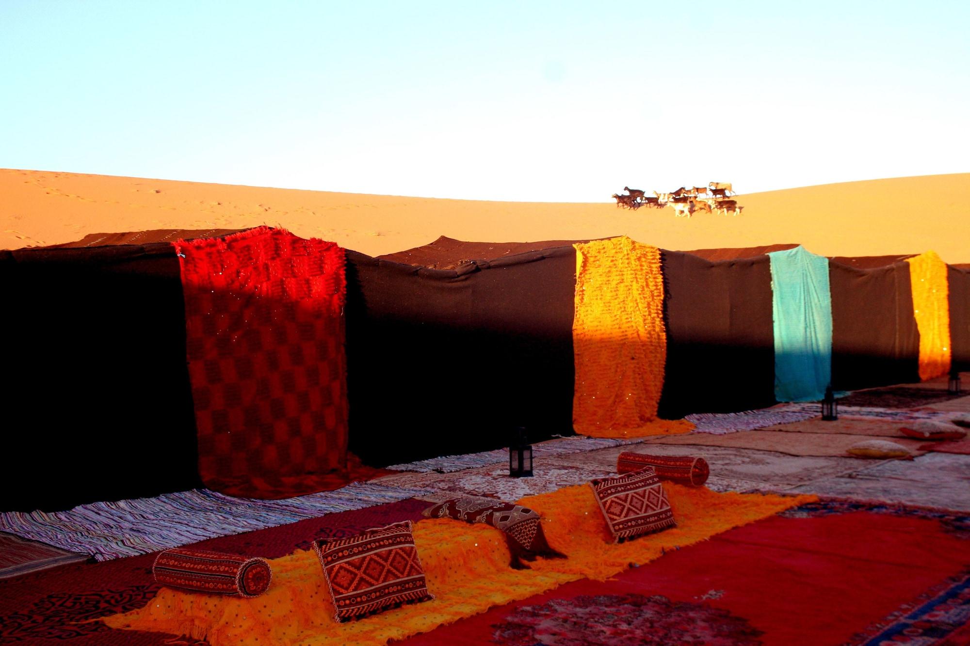 Palmeras Y Dunas Luxery Camp 메르주가 외부 사진
